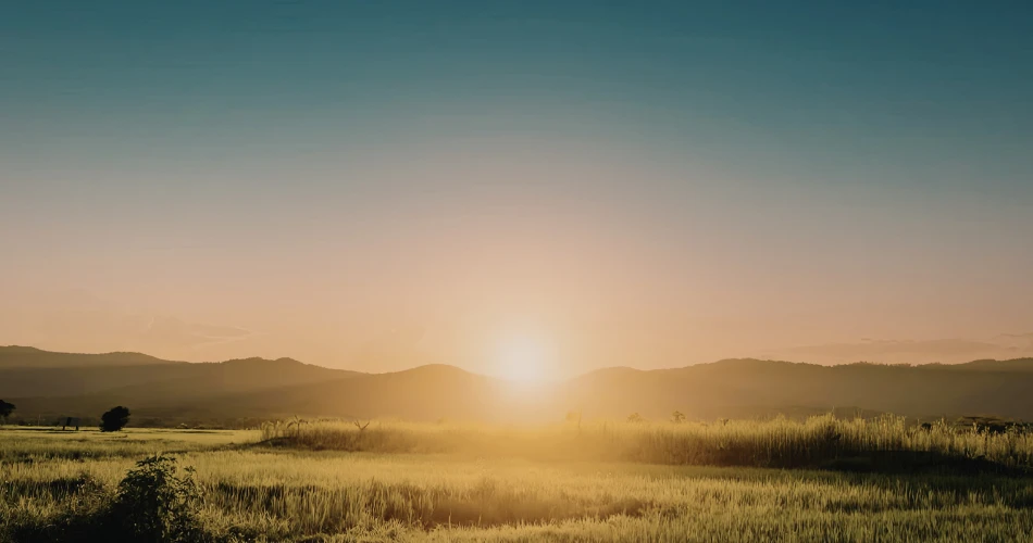 Outdoor Adventures in Arroyo Grande: Hiking Trails, Parks & Scenic Escapes