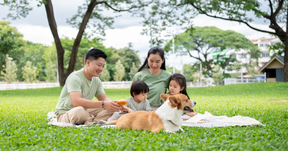 Fun Things to Do in Arroyo Grande with Family & Friends